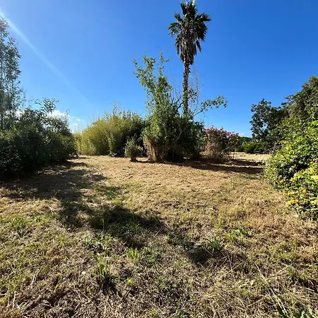 Willa Grande T4 Dans Un Ecrin De Verdure Proche De Calvi