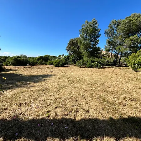 Grande T4 Dans Un Ecrin De Verdure Proche De Calvi Villa *